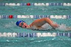 Swim vs Bentley  Wheaton College Swimming & Diving vs Bentley University. - Photo by Keith Nordstrom : Wheaton, Swimming & Diving